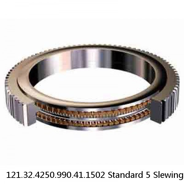 121.32.4250.990.41.1502 Standard 5 Slewing Ring Bearings