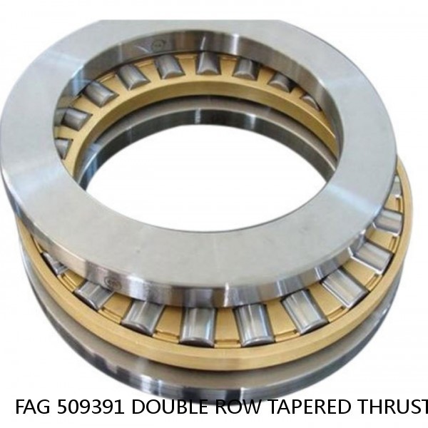 FAG 509391 DOUBLE ROW TAPERED THRUST ROLLER BEARINGS #1 small image