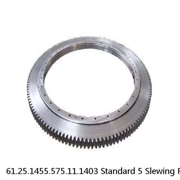 61.25.1455.575.11.1403 Standard 5 Slewing Ring Bearings #1 small image