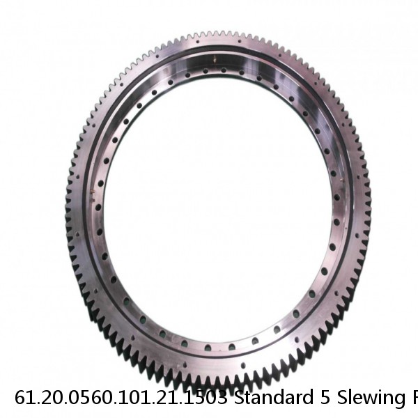 61.20.0560.101.21.1503 Standard 5 Slewing Ring Bearings #1 small image