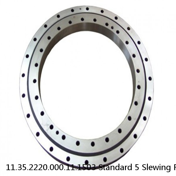 11.35.2220.000.11.1503 Standard 5 Slewing Ring Bearings #1 small image