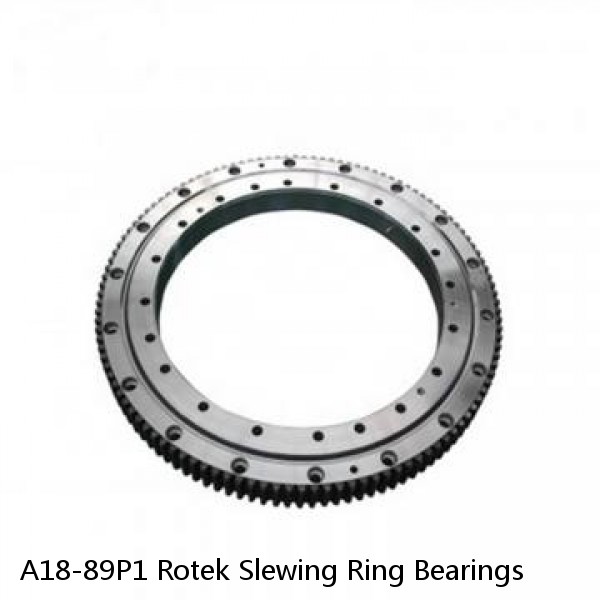 A18-89P1 Rotek Slewing Ring Bearings #1 small image