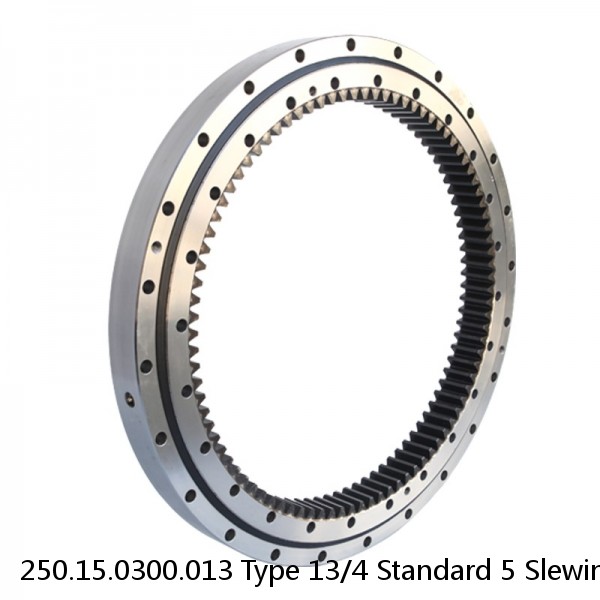 250.15.0300.013 Type 13/4 Standard 5 Slewing Ring Bearings #1 small image