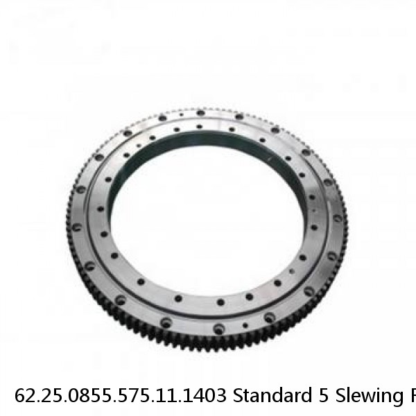 62.25.0855.575.11.1403 Standard 5 Slewing Ring Bearings #1 small image