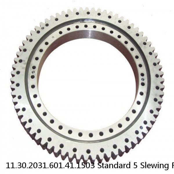 11.30.2031.601.41.1503 Standard 5 Slewing Ring Bearings #1 small image
