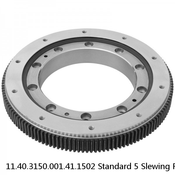 11.40.3150.001.41.1502 Standard 5 Slewing Ring Bearings #1 small image