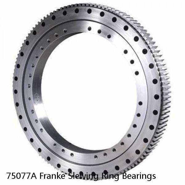 75077A Franke Slewing Ring Bearings #1 small image