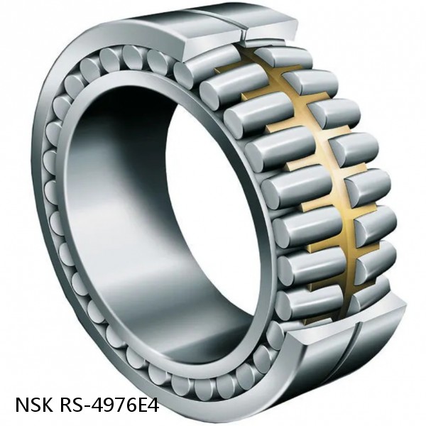 RS-4976E4 NSK CYLINDRICAL ROLLER BEARING #1 small image