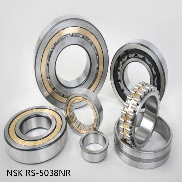 RS-5038NR NSK CYLINDRICAL ROLLER BEARING #1 small image