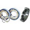 Link-Belt MA5209EX Cylindrical Roller Bearings