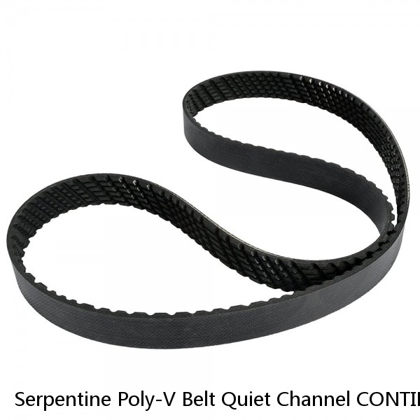 Serpentine Poly-V Belt Quiet Channel CONTINENTAL ELITE GATORBACK 4060435 #1 small image