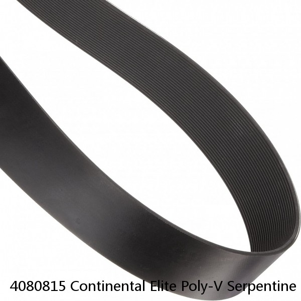4080815 Continental Elite Poly-V Serpentine Belt Free Shipping 4080815 #1 small image