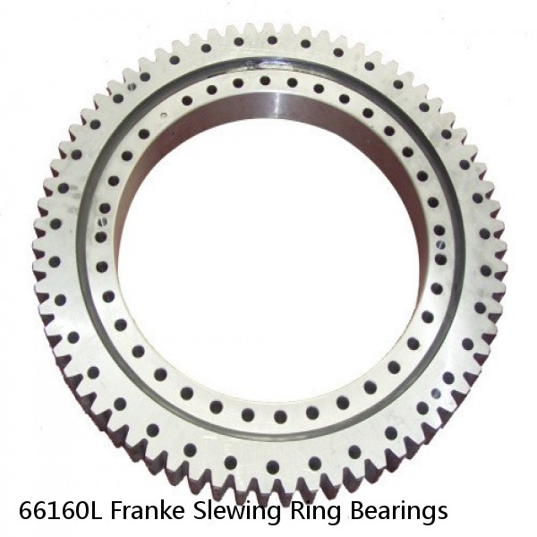 66160L Franke Slewing Ring Bearings #1 image