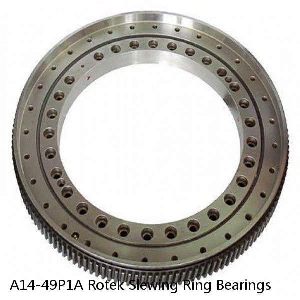 A14-49P1A Rotek Slewing Ring Bearings #1 image