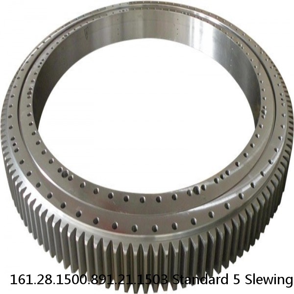 161.28.1500.891.21.1503 Standard 5 Slewing Ring Bearings #1 image