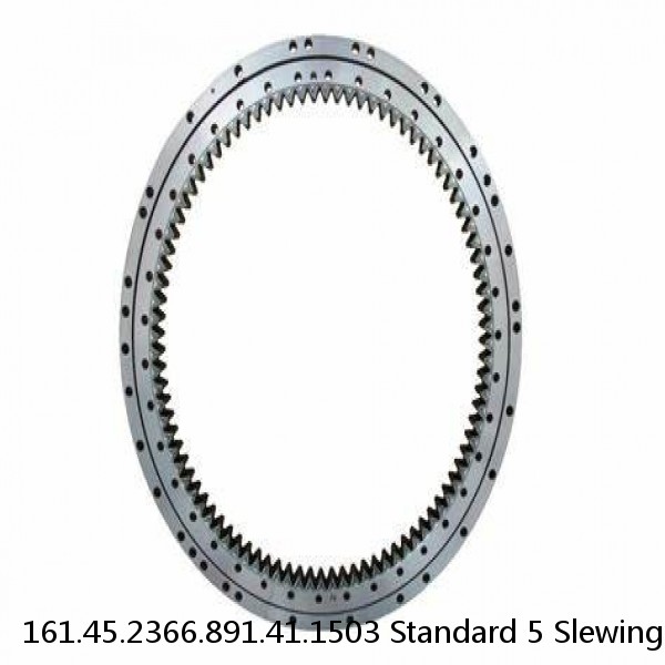 161.45.2366.891.41.1503 Standard 5 Slewing Ring Bearings #1 image