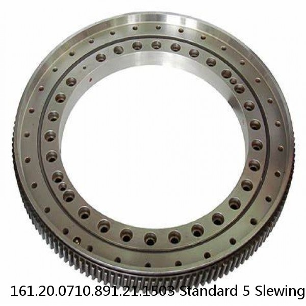 161.20.0710.891.21.1503 Standard 5 Slewing Ring Bearings #1 image