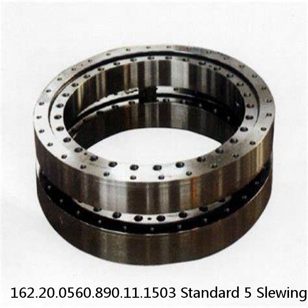 162.20.0560.890.11.1503 Standard 5 Slewing Ring Bearings #1 image