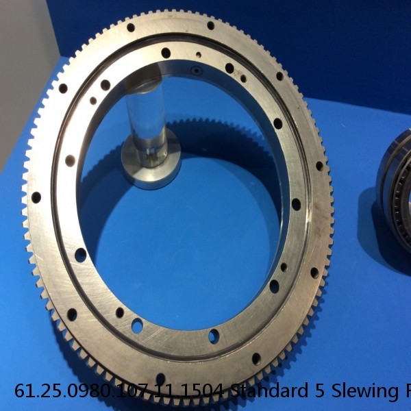 61.25.0980.107.11.1504 Standard 5 Slewing Ring Bearings #1 image