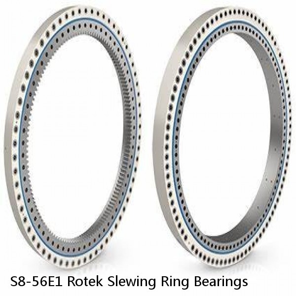 S8-56E1 Rotek Slewing Ring Bearings #1 image