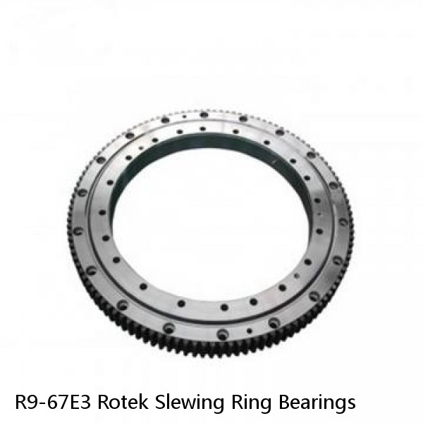 R9-67E3 Rotek Slewing Ring Bearings #1 image