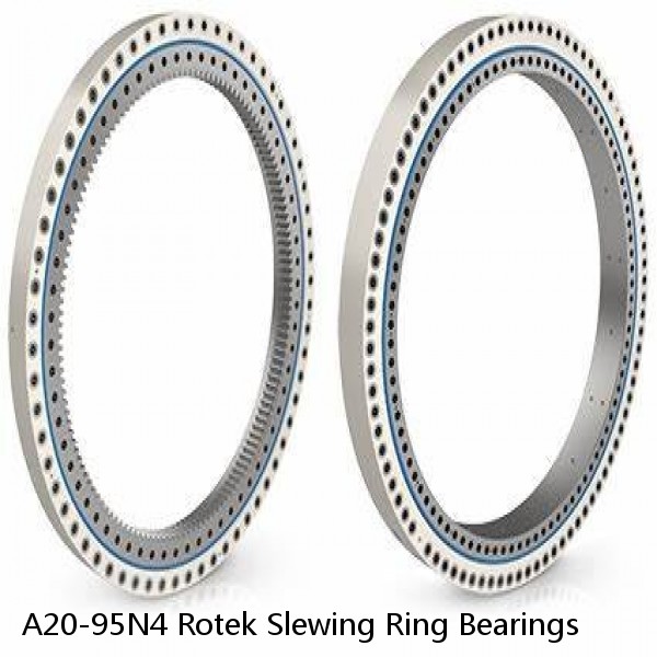 A20-95N4 Rotek Slewing Ring Bearings #1 image