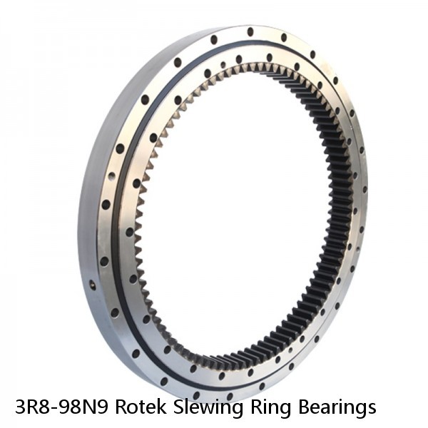3R8-98N9 Rotek Slewing Ring Bearings #1 image