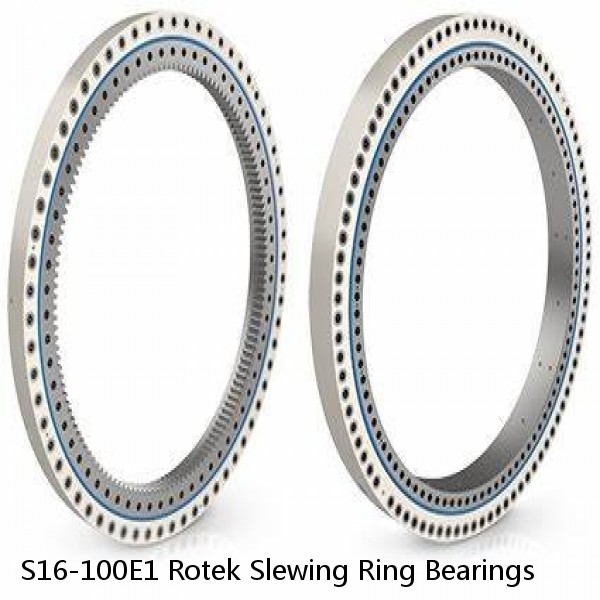 S16-100E1 Rotek Slewing Ring Bearings #1 image