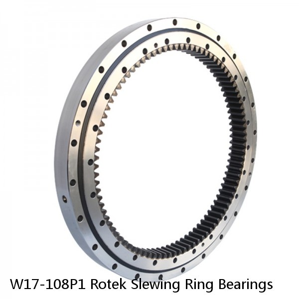 W17-108P1 Rotek Slewing Ring Bearings #1 image