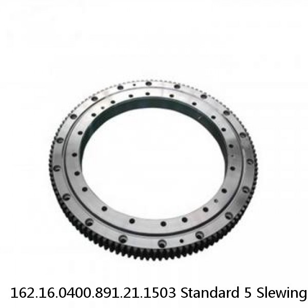 162.16.0400.891.21.1503 Standard 5 Slewing Ring Bearings #1 image