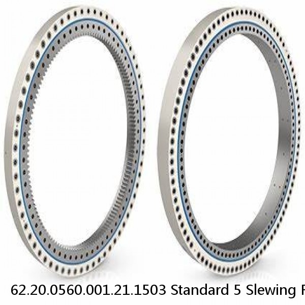 62.20.0560.001.21.1503 Standard 5 Slewing Ring Bearings #1 image