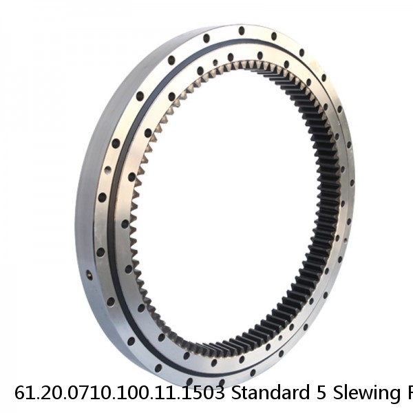 61.20.0710.100.11.1503 Standard 5 Slewing Ring Bearings #1 image