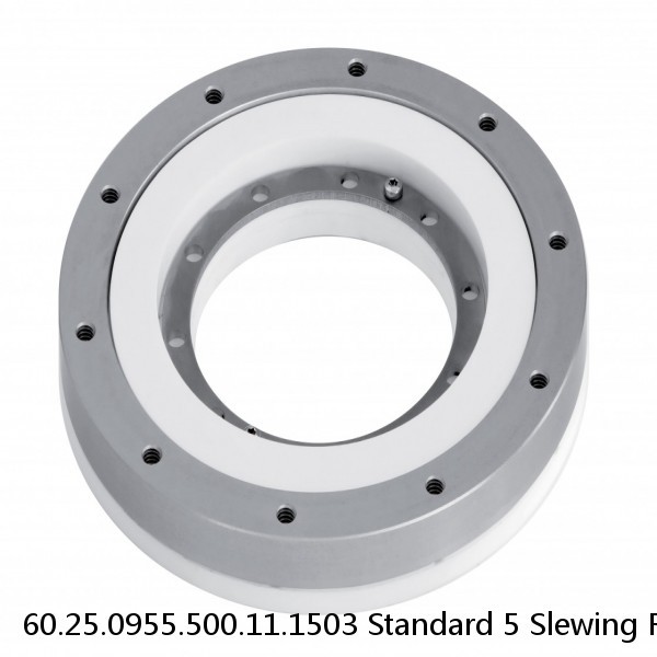 60.25.0955.500.11.1503 Standard 5 Slewing Ring Bearings #1 image