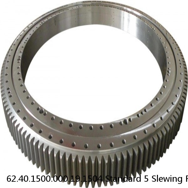 62.40.1500.000.19.1504 Standard 5 Slewing Ring Bearings #1 image