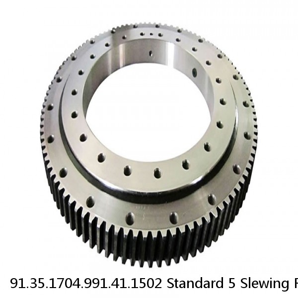 91.35.1704.991.41.1502 Standard 5 Slewing Ring Bearings #1 image