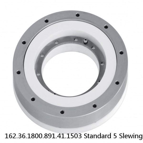 162.36.1800.891.41.1503 Standard 5 Slewing Ring Bearings #1 image