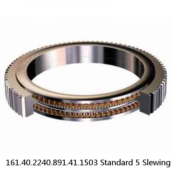 161.40.2240.891.41.1503 Standard 5 Slewing Ring Bearings #1 image