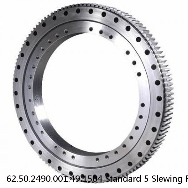 62.50.2490.001.49.1504 Standard 5 Slewing Ring Bearings #1 image