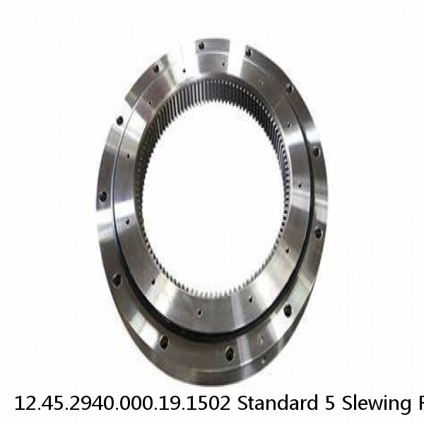 12.45.2940.000.19.1502 Standard 5 Slewing Ring Bearings #1 image