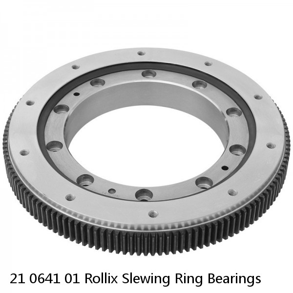 21 0641 01 Rollix Slewing Ring Bearings #1 image