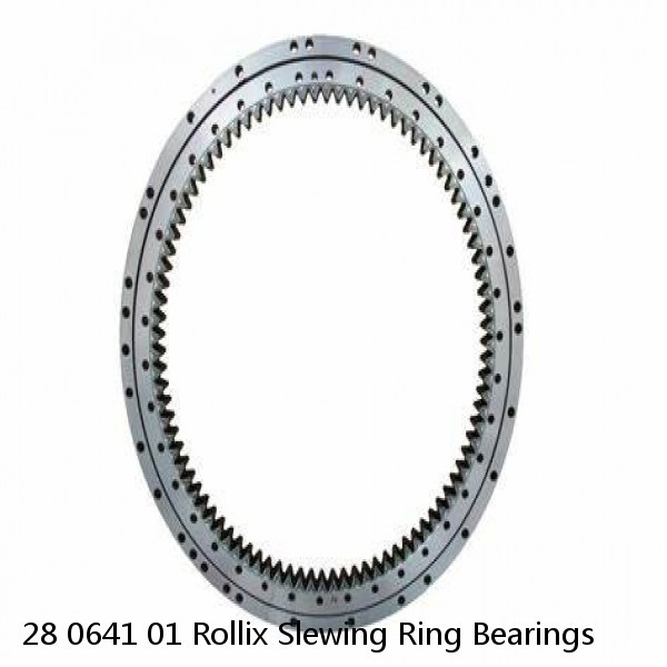 28 0641 01 Rollix Slewing Ring Bearings #1 image