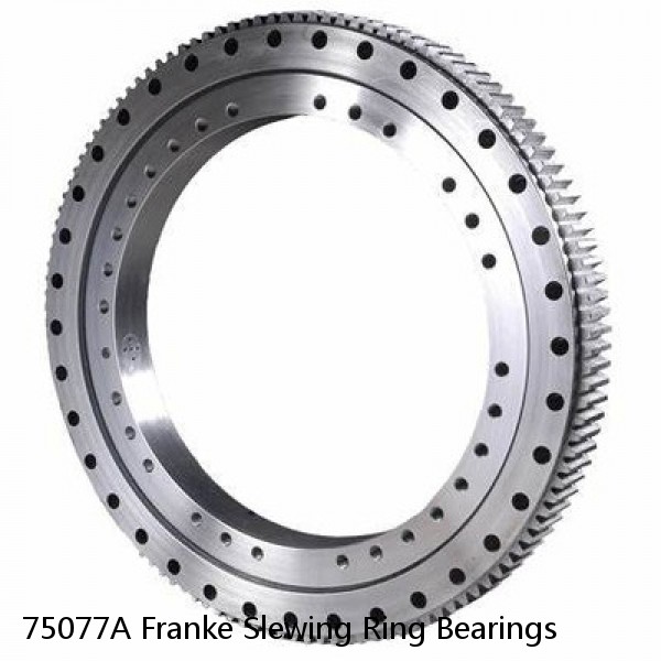 75077A Franke Slewing Ring Bearings #1 image