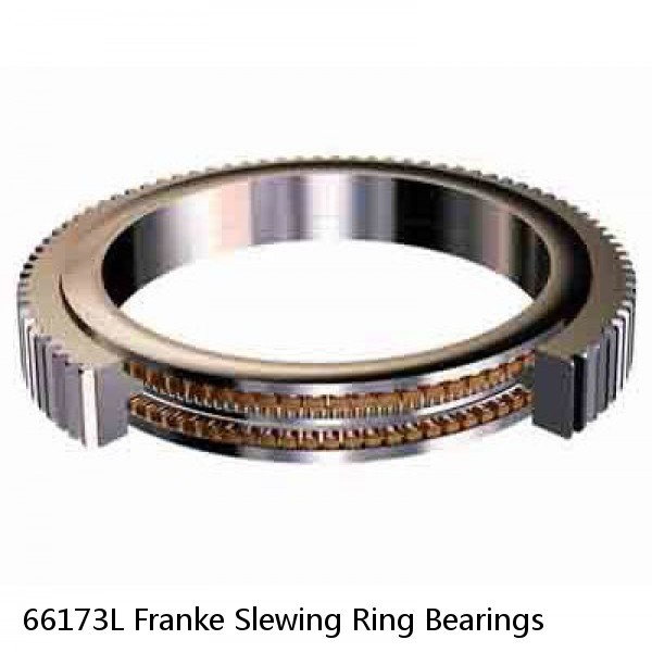 66173L Franke Slewing Ring Bearings #1 image