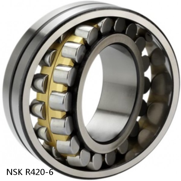 R420-6 NSK CYLINDRICAL ROLLER BEARING #1 image