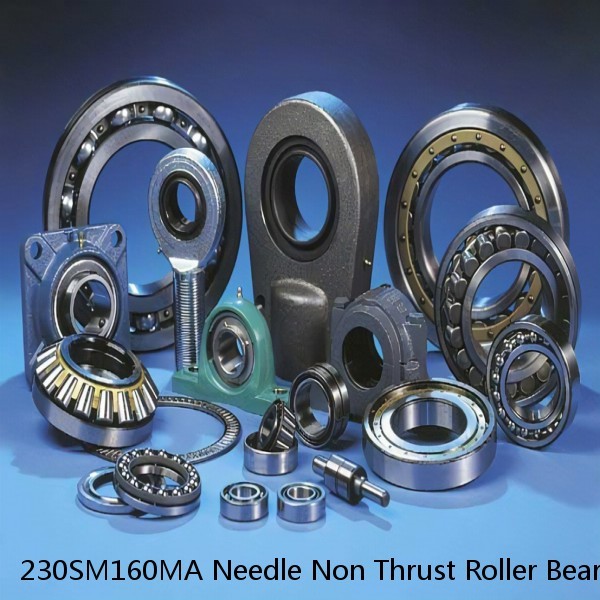 230SM160MA Needle Non Thrust Roller Bearings #1 image