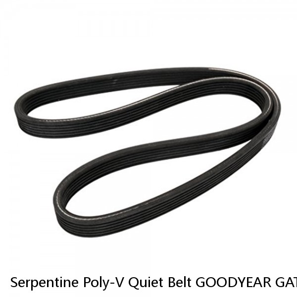 Serpentine Poly-V Quiet Belt GOODYEAR GATORBACK 4040528 #1 image