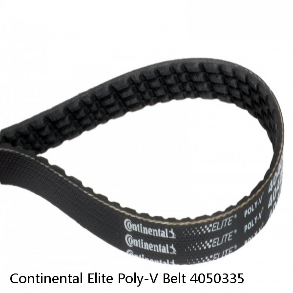 Continental Elite Poly-V Belt 4050335 #1 image