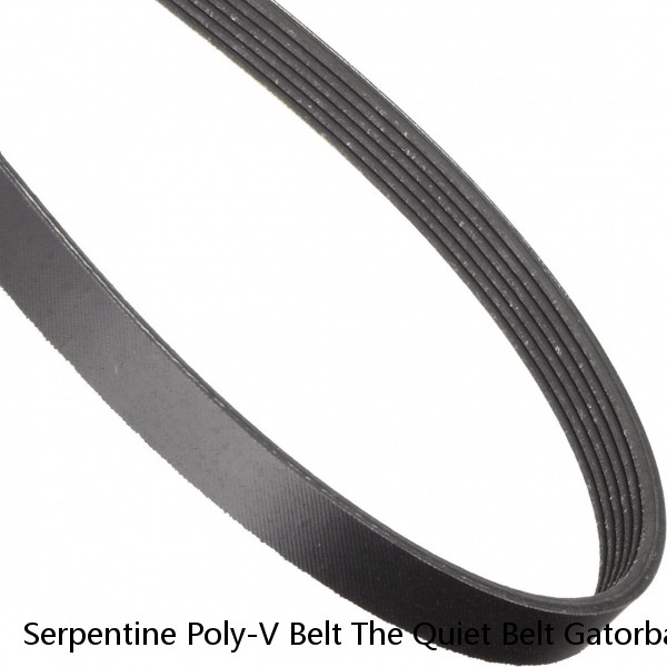 Serpentine Poly-V Belt The Quiet Belt Gatorback CONTINENTAL ELITE 4080580 #1 image